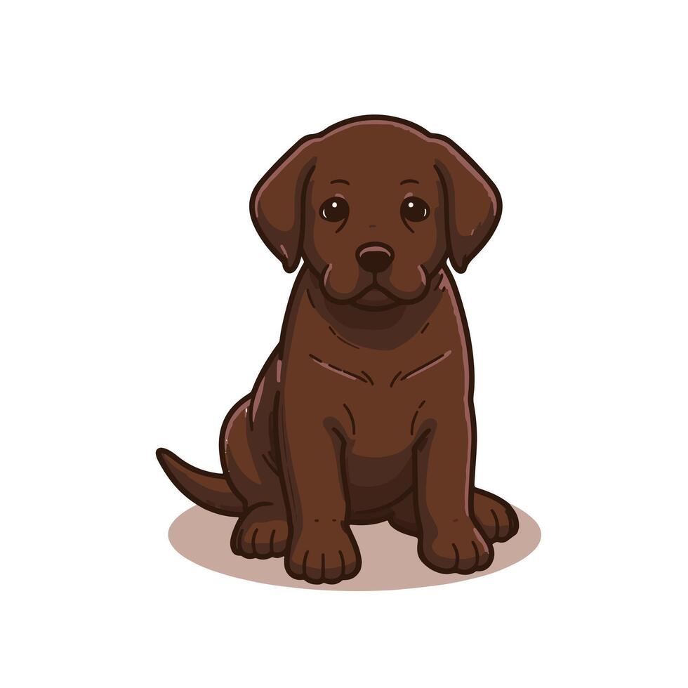 A chocolate brown Labrador puppy in a sitting pose, very adorable, could be used as a logo vector