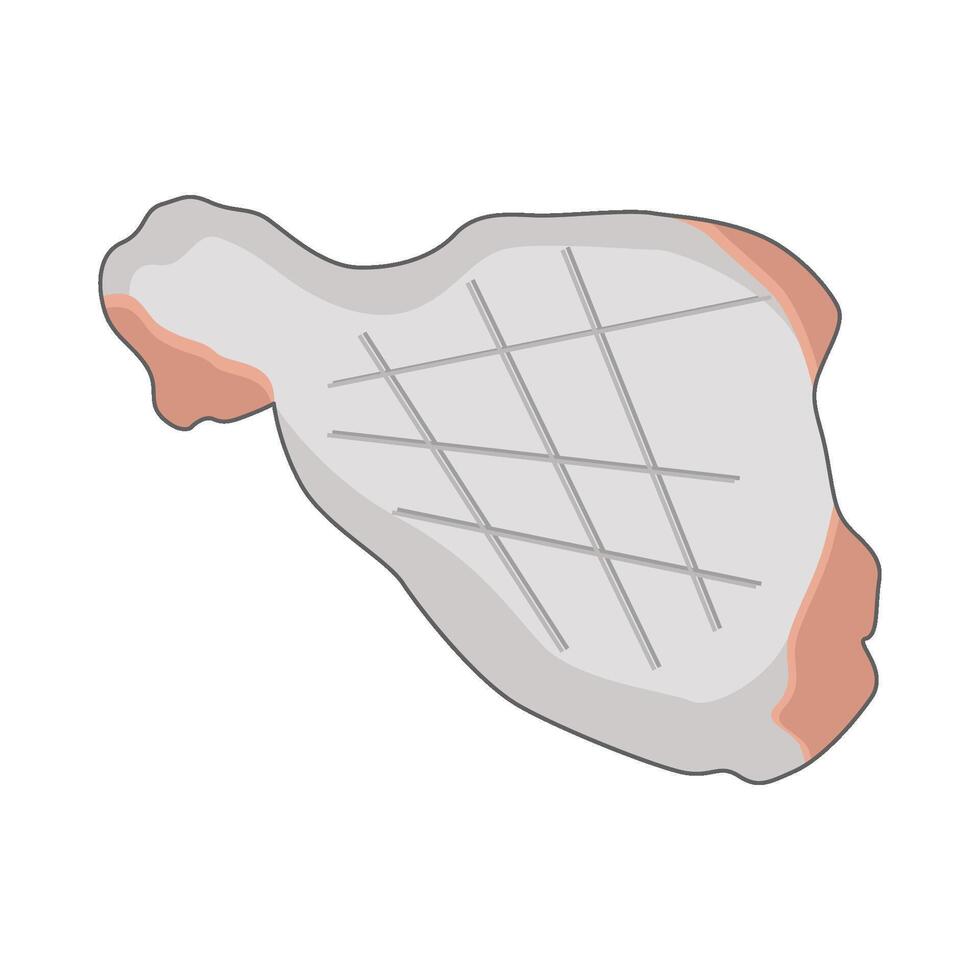 illustration of chicken vector