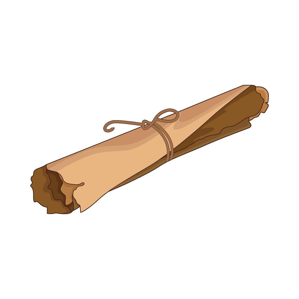 illustration of old paper scroll vector