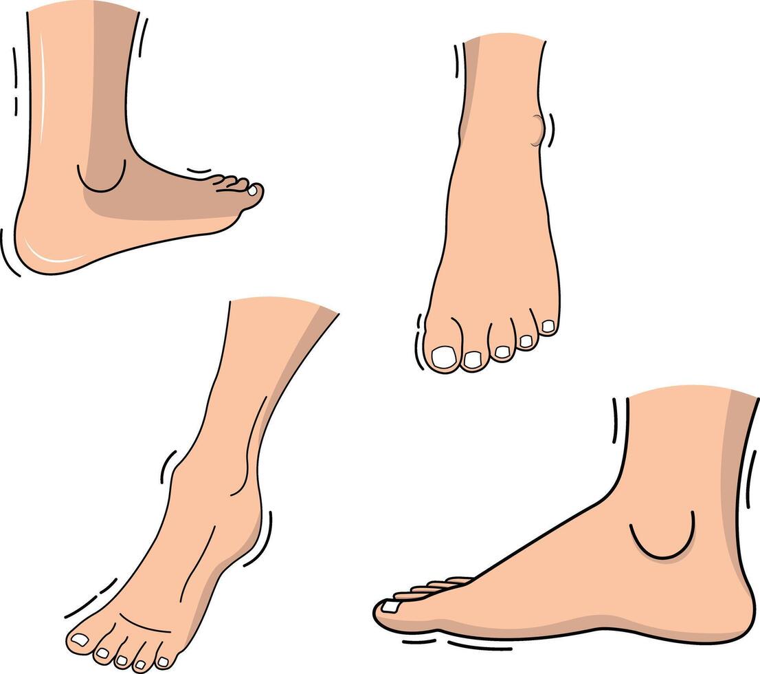 feet in a background vector
