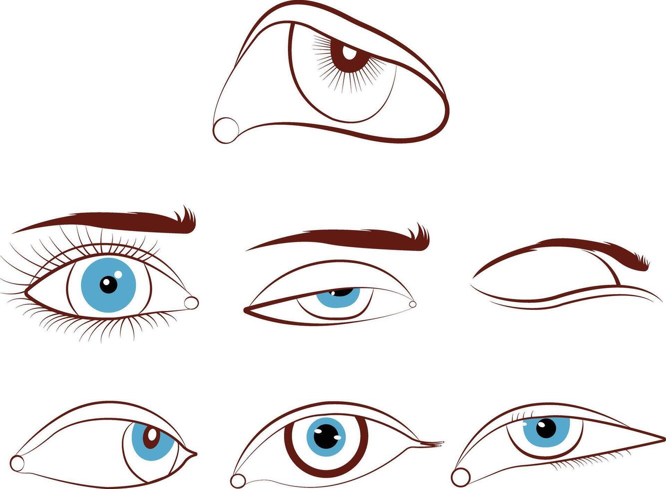 illustration of eyes set vector