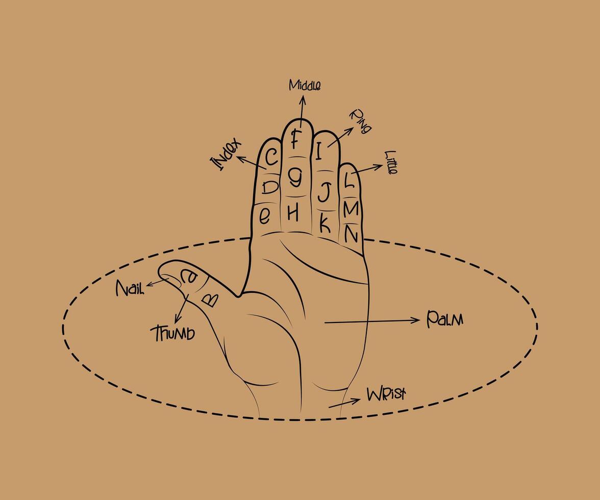 hand drawn illustration of an book vector