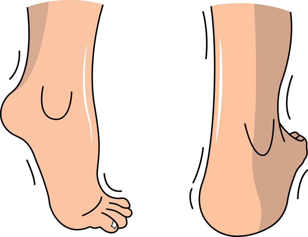feet of a person vector