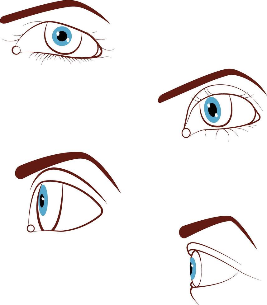 illustration of a eye vector