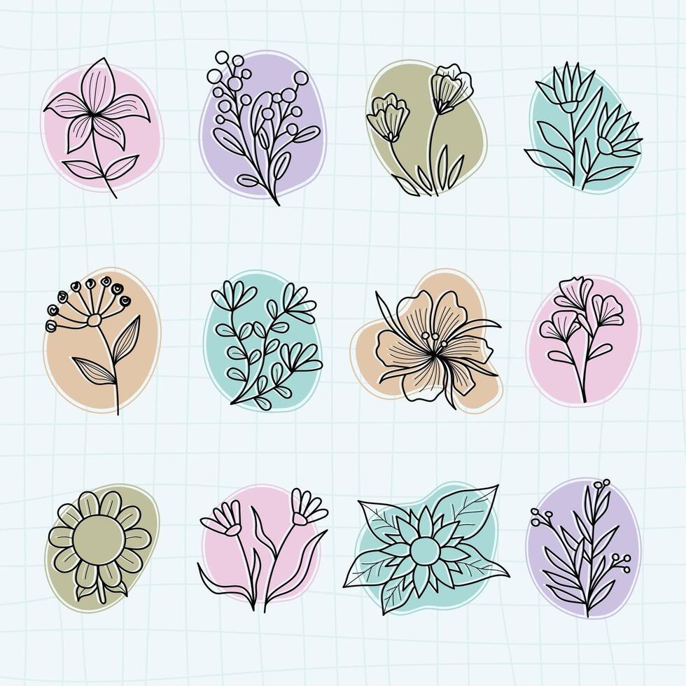 Collection tropical flower leaf natural set vector