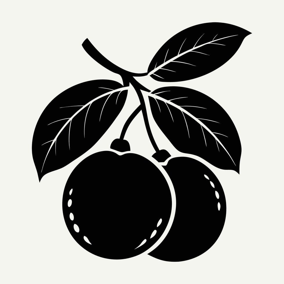 longan fruit silhouette art vector