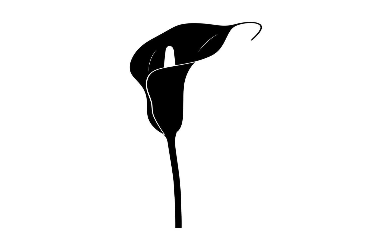 Calla Lily Silhouette isolated on a white background vector