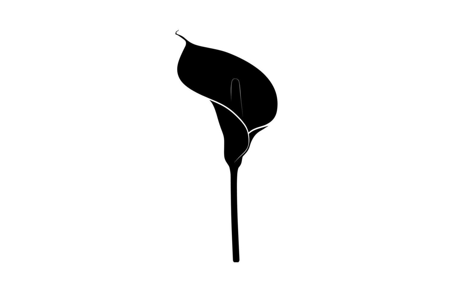 Arum Lily Silhouette vector