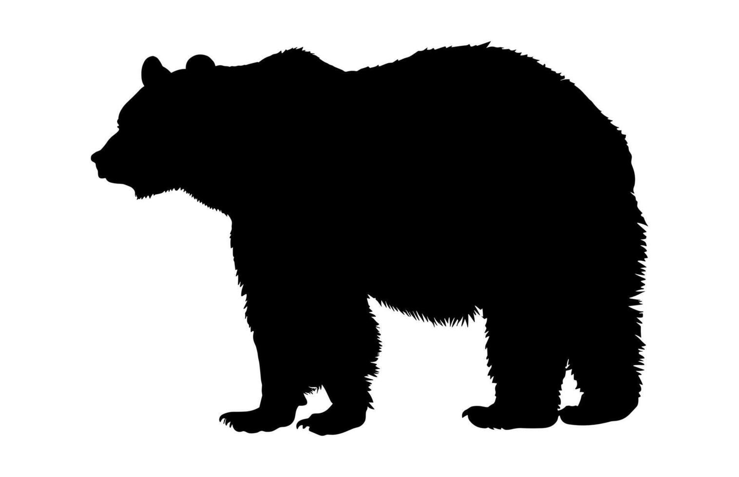 Bear Silhouette isolated on a white background vector