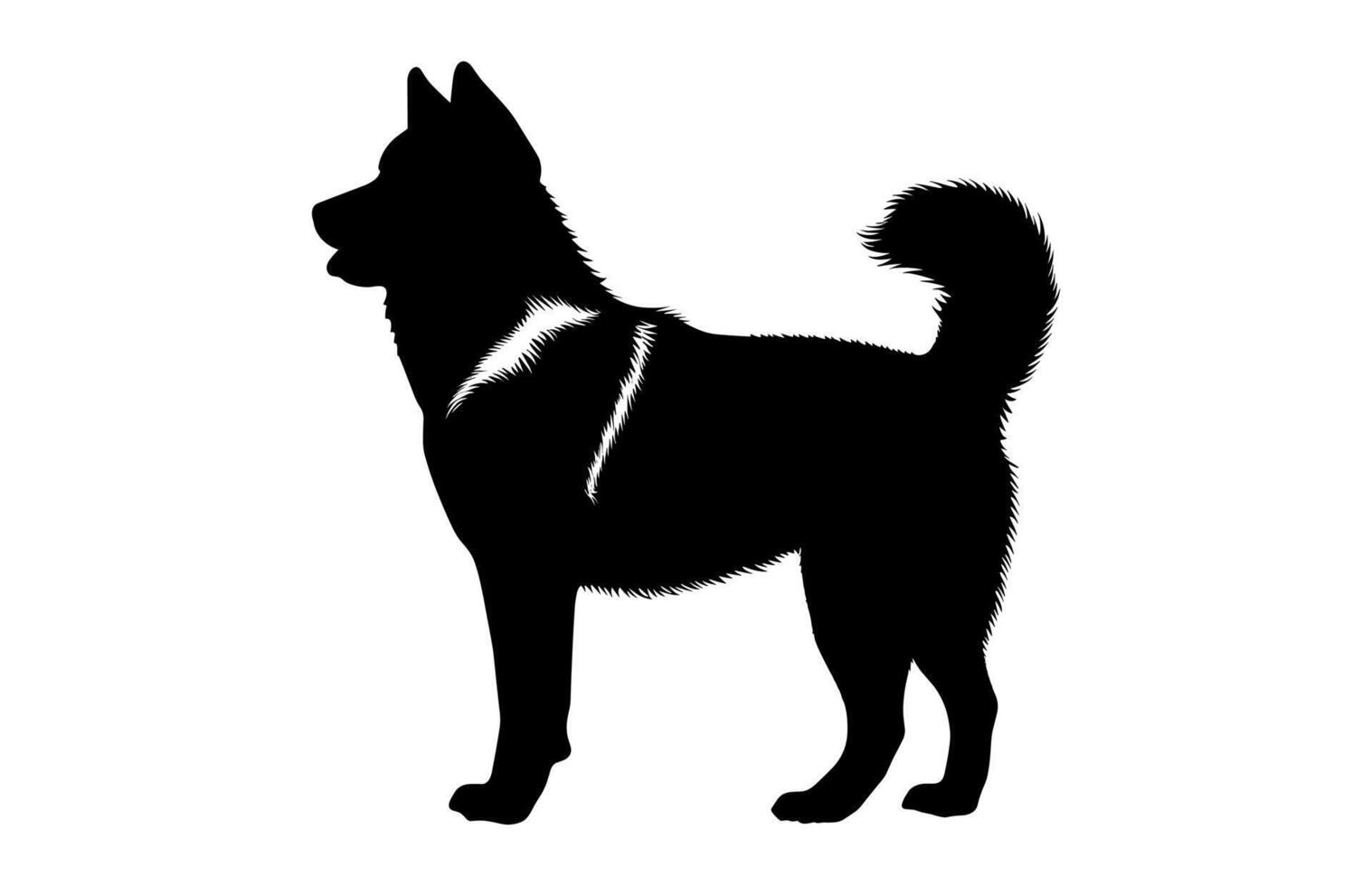 Akita Black Silhouette isolated on a white background vector