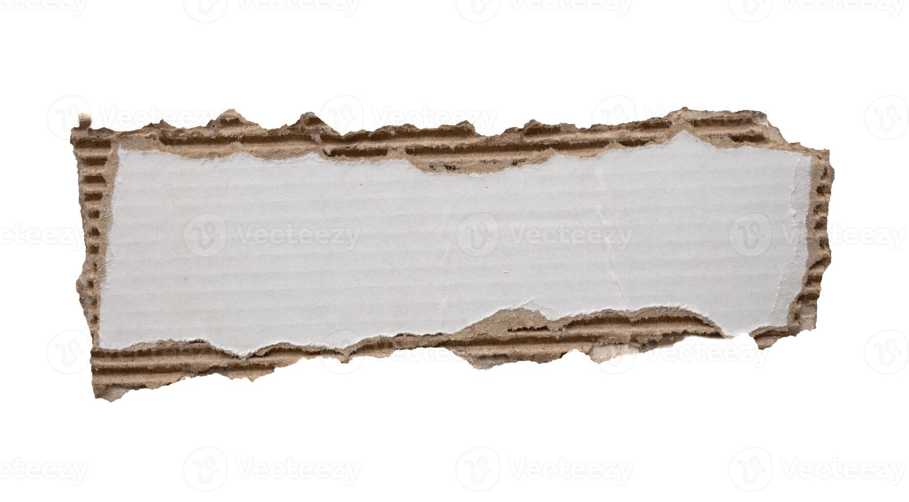 piece of white paper tear isolated on white background photo