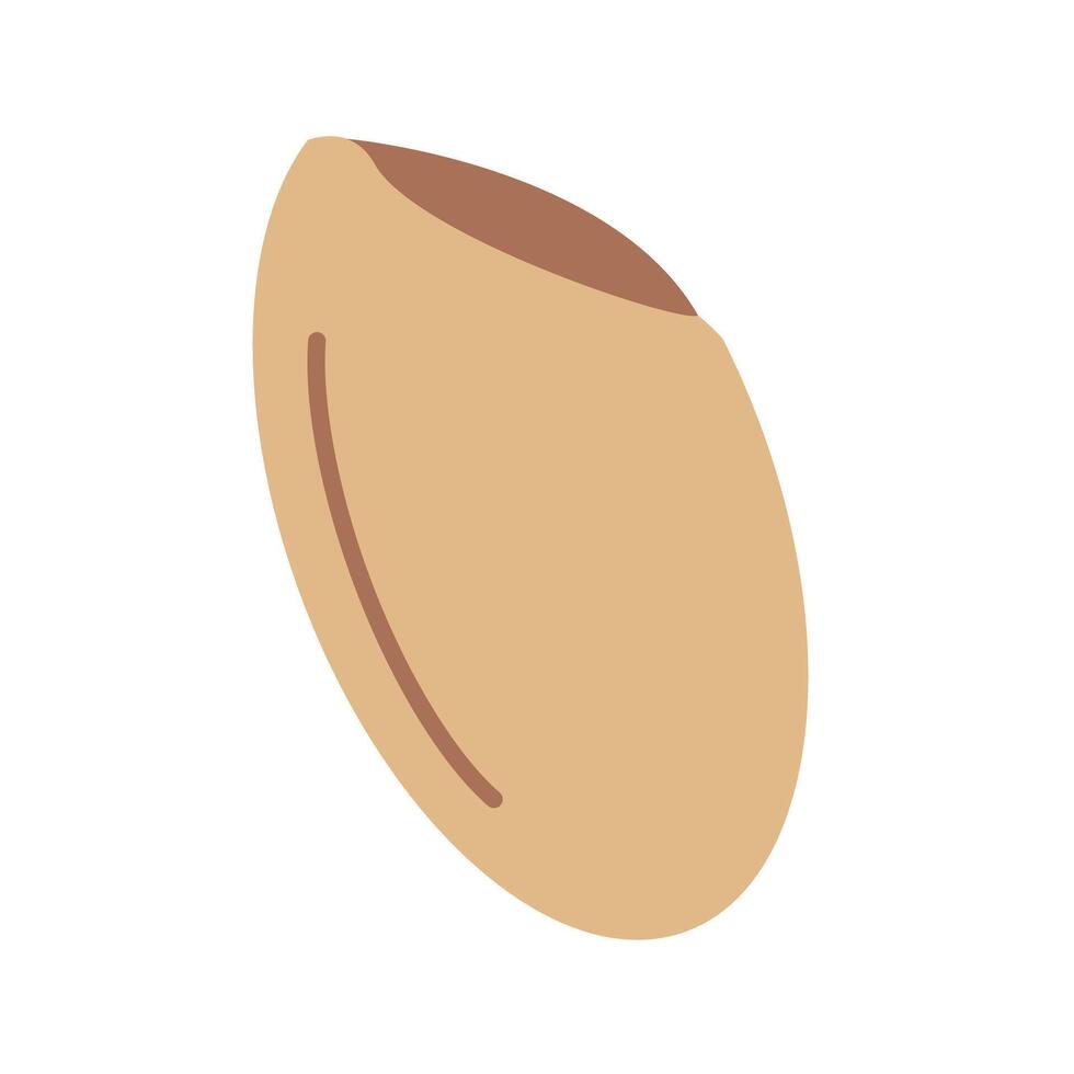 Flat design brown rice icon. vector
