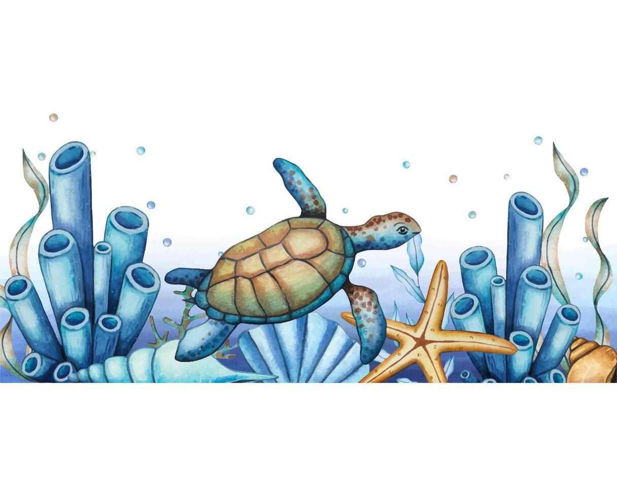 Sea border with a turtle, algae, coral, starfish, bubbles, shells. Underwater world. Hand drawn watercolor illustration vector