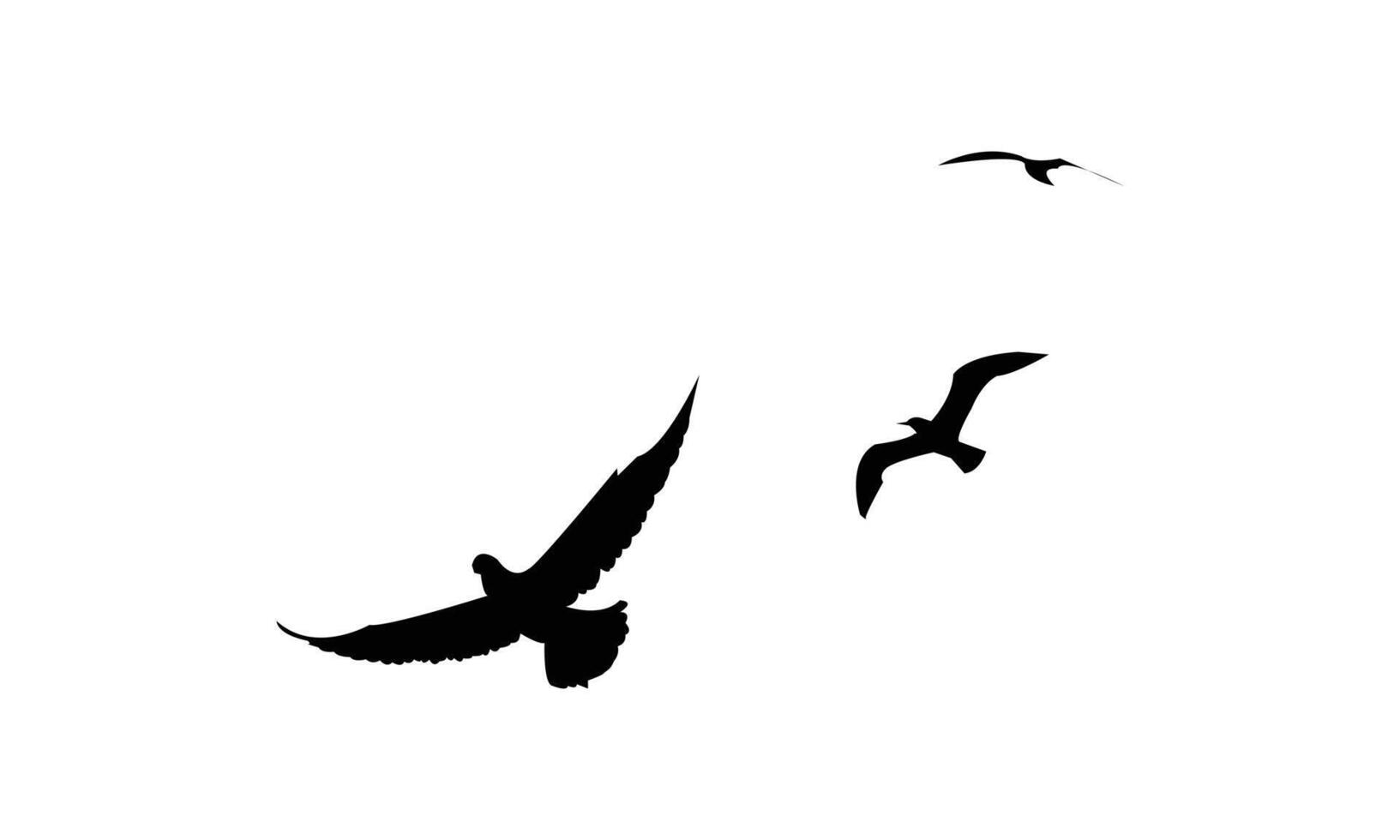 Flying Birds Illustration Collection. vector