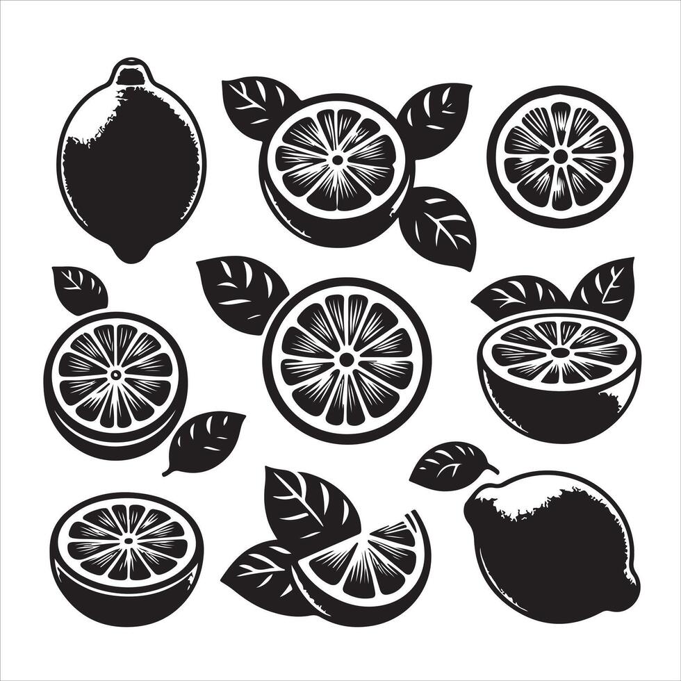 Excellent quality graphic illustration of a lemon flat tem set vector