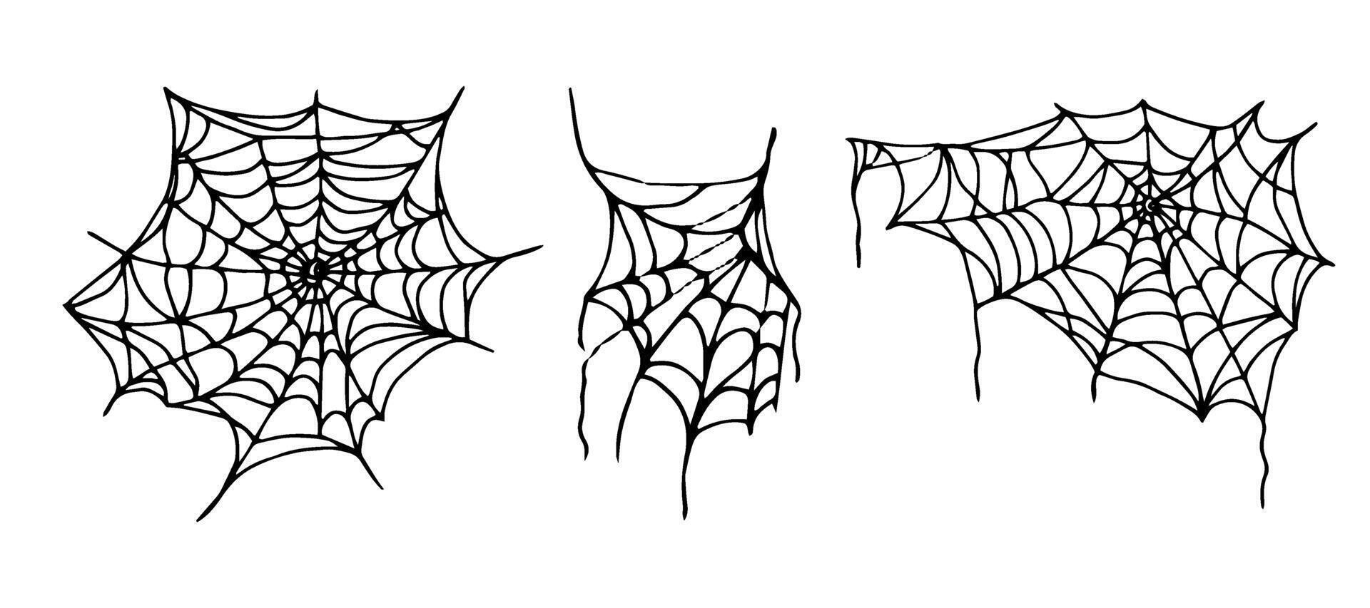 Halloween spider web set. Curved threads silhouette. Doodle style black outline. Hand drawn isolated graphic clipart. Line illustration of different web shapes for creepy decor, holiday design vector