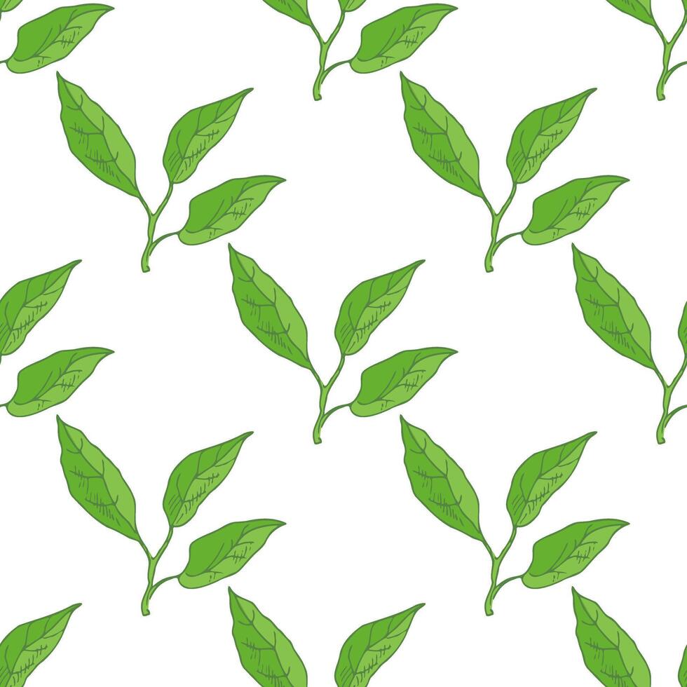 Hand-drawn seamless pattern of lemon leaves. Great for a poster, menu or label. vector