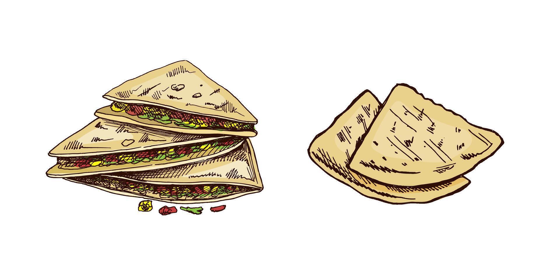 Hand-drawn set of quesadilla in sketch style. Vintage drawing of Mexican dish. Black ink outline food illustration. Mexican food, cuisine. An illustration for the menu. Latin America. vector