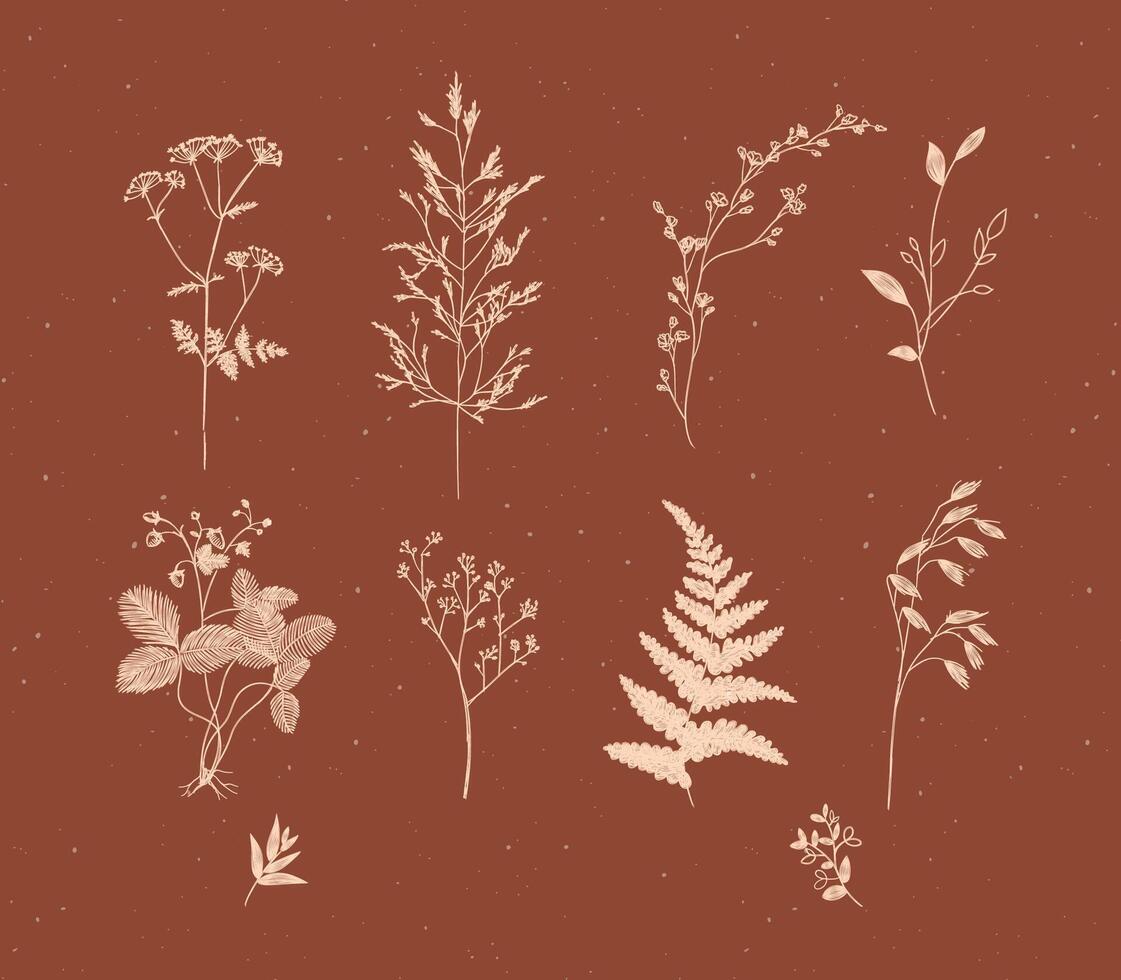 Set of leaves and branches floral style drawing in beige color on brown background vector