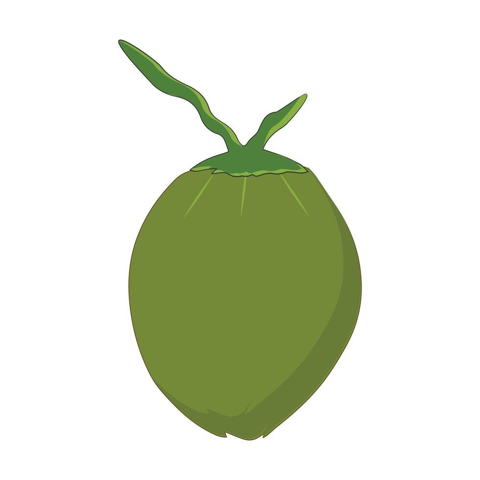 Green coconut graphics, Young coconut water icon. Summer coconut cocktail. Illustration of tropical exotic fruits in flat style., with stalk vector