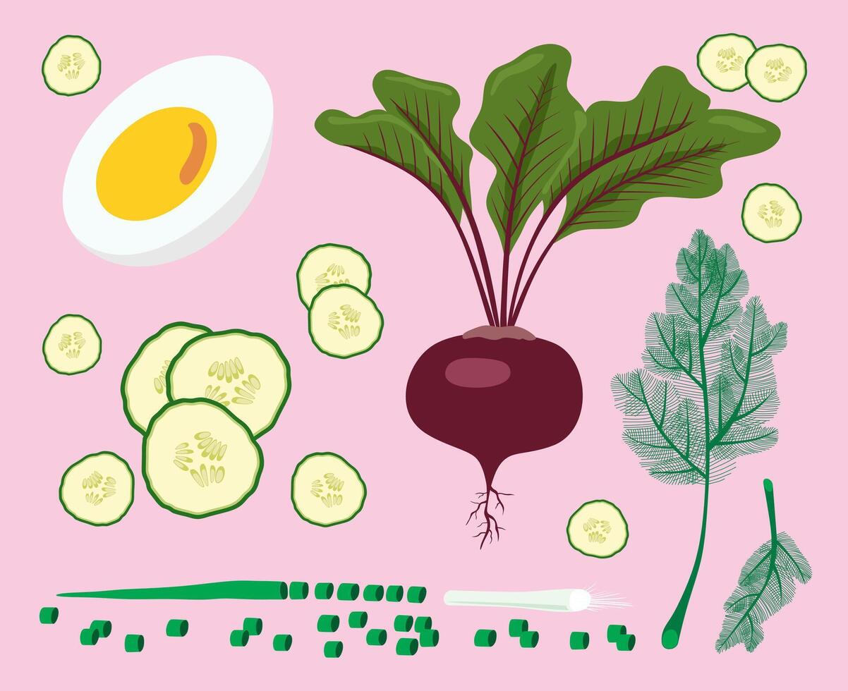 Lithuanian cold beet soup. Pink soup ingredients. Egg, beetroot, cucumber, onion and dill. Isolated on light pink background. vector
