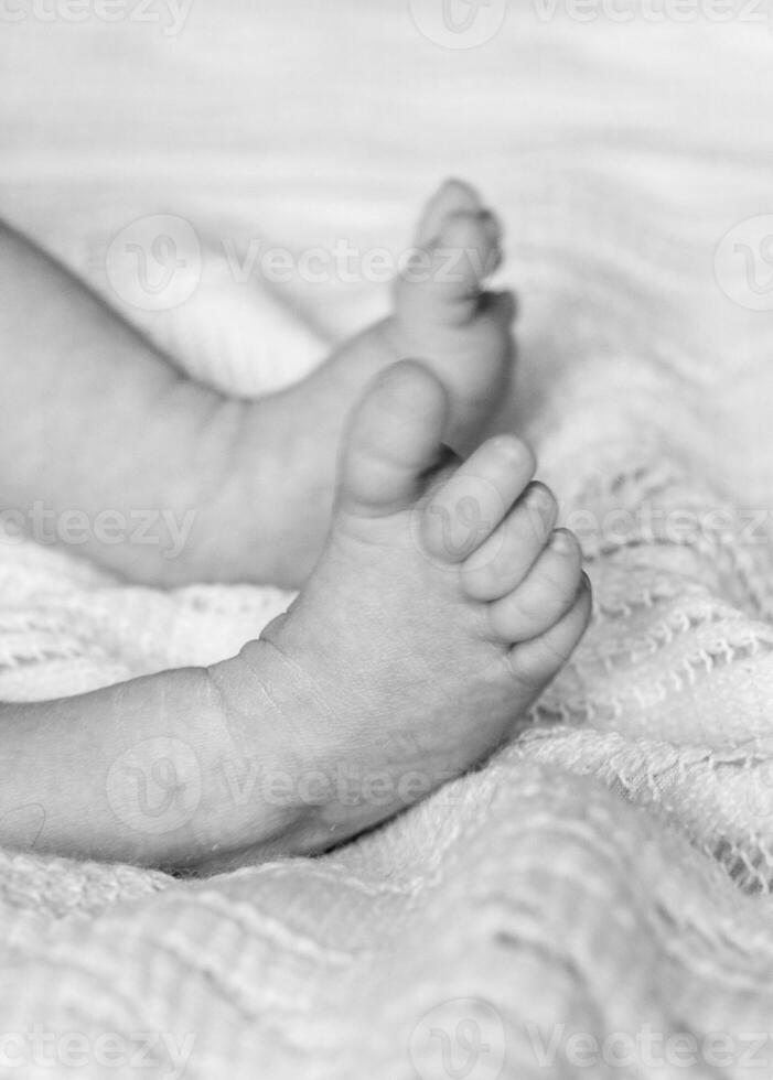 Handles and legs of the newborn baby photo