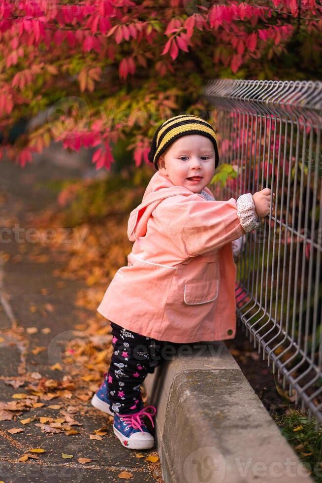 Little baby at the park photo