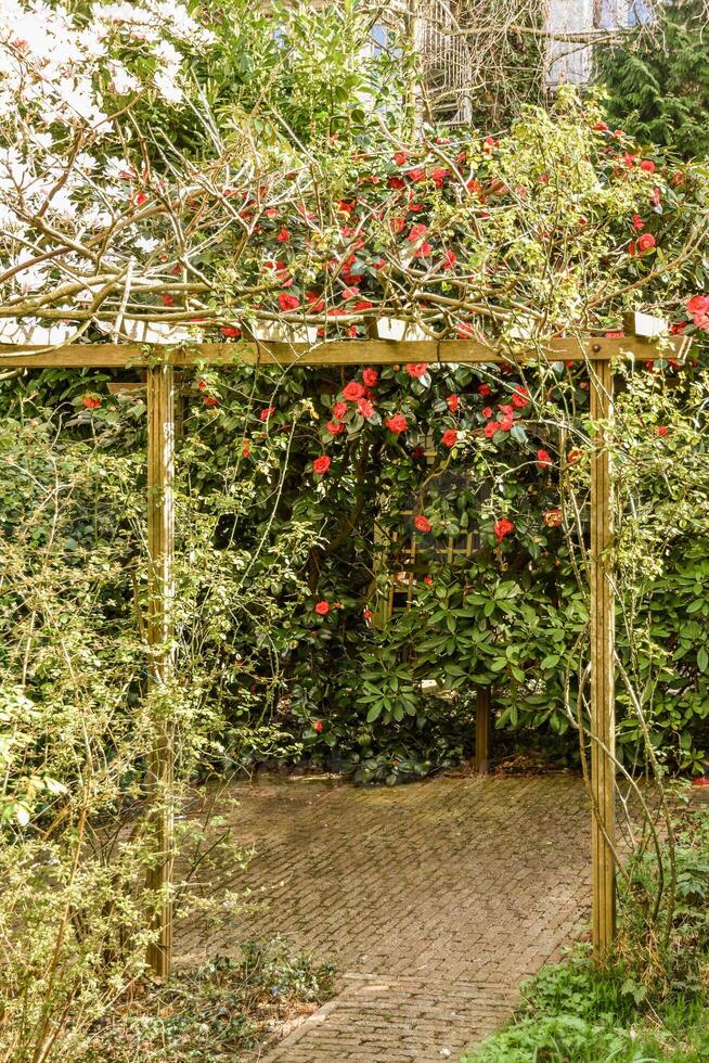 A small garden with a bench and a tree photo
