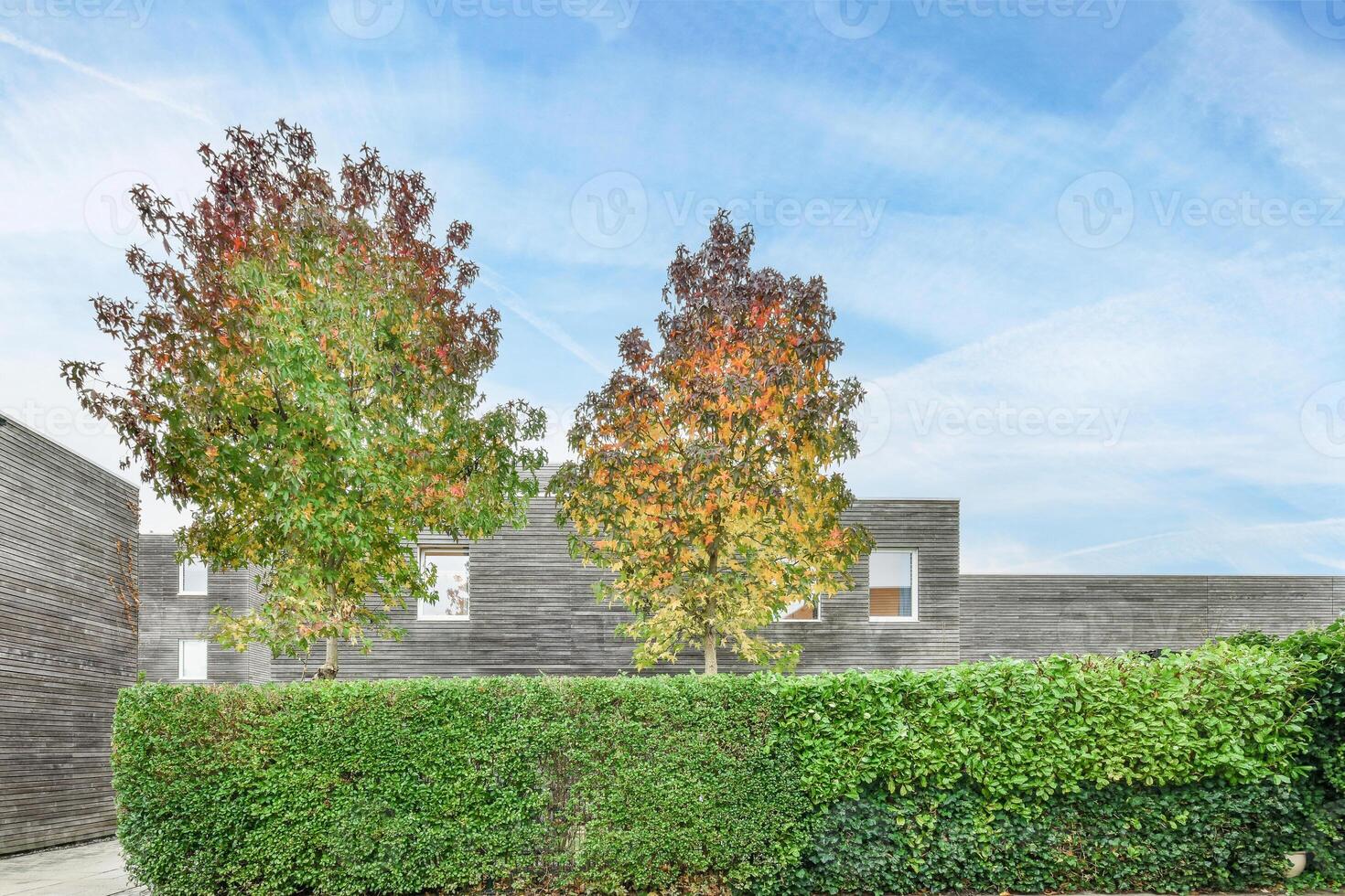 Additional photo for property listing at the arboretum, london, sw1 l