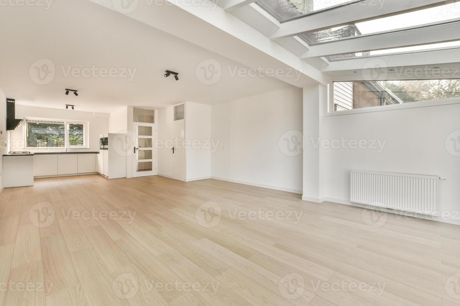 An empty room with wooden floors and skylights photo
