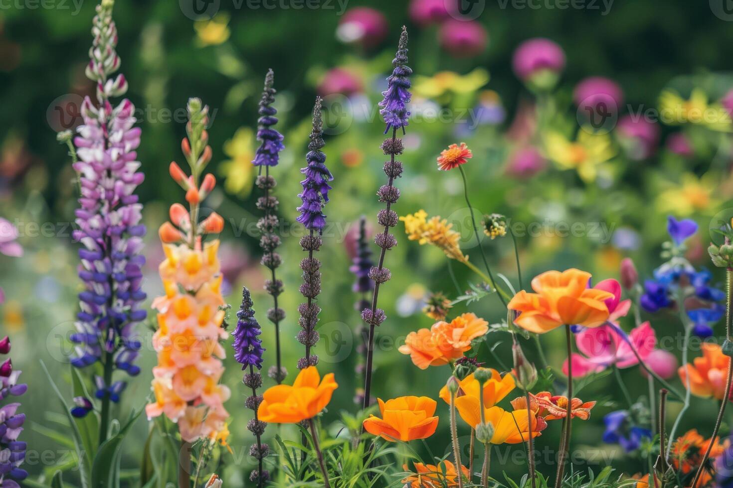Colorful flowers in a garden photo