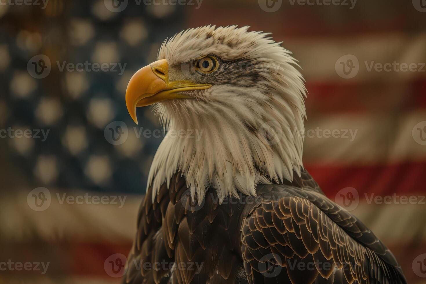 A bald eagle with a flag in the background photo