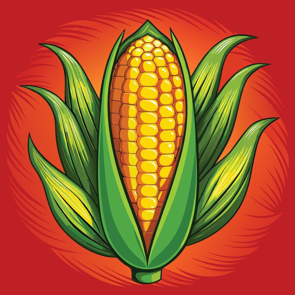Corn on the cob illustration vector