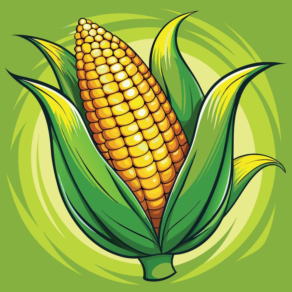 Corn on the cob illustration vector