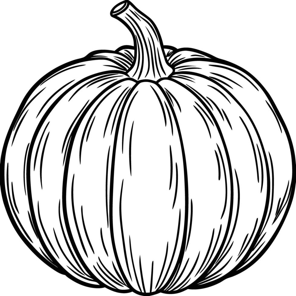 A pumpkin coloring page vector