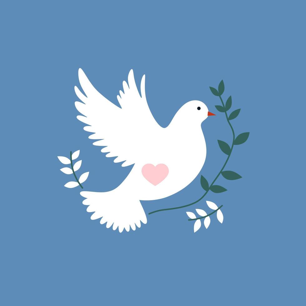 White dove with heart sign vector