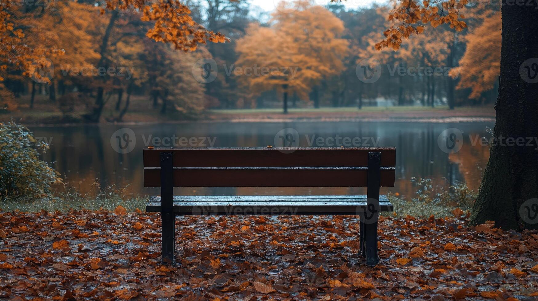 Empty bench standing on path covered with fallen leaves in autumn forest photo