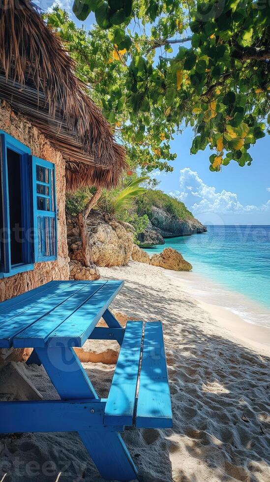 Turquoise picnic table under a tree on a tropical beach photo
