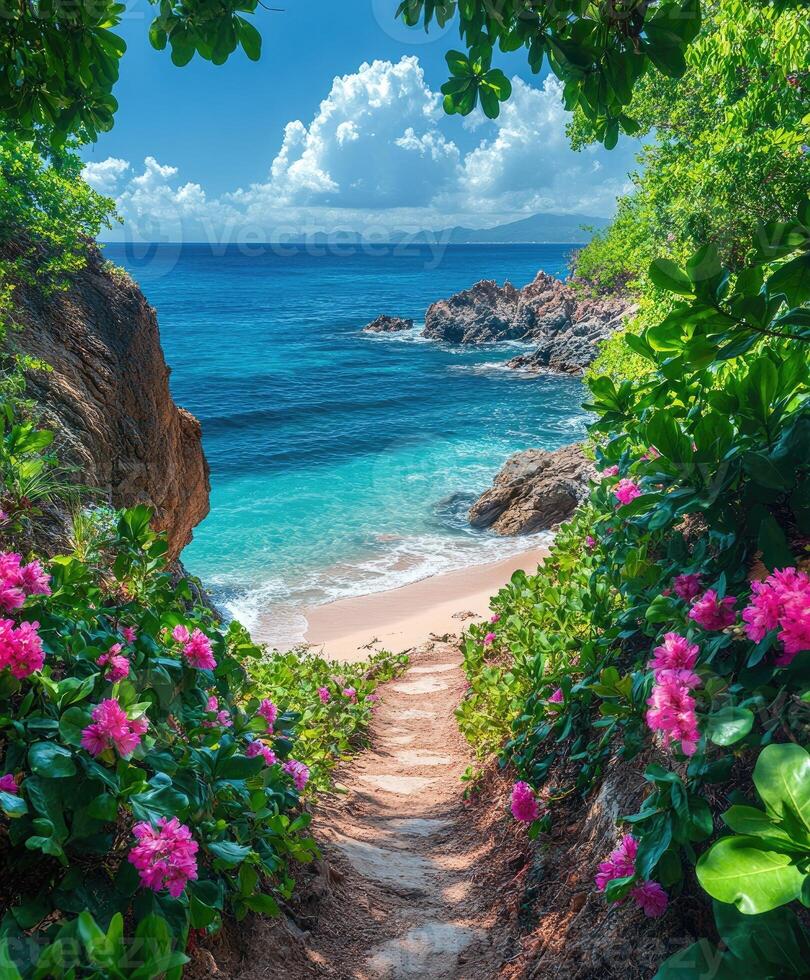 Stone path leading to beautiful turquoise sea and blooming flowers photo