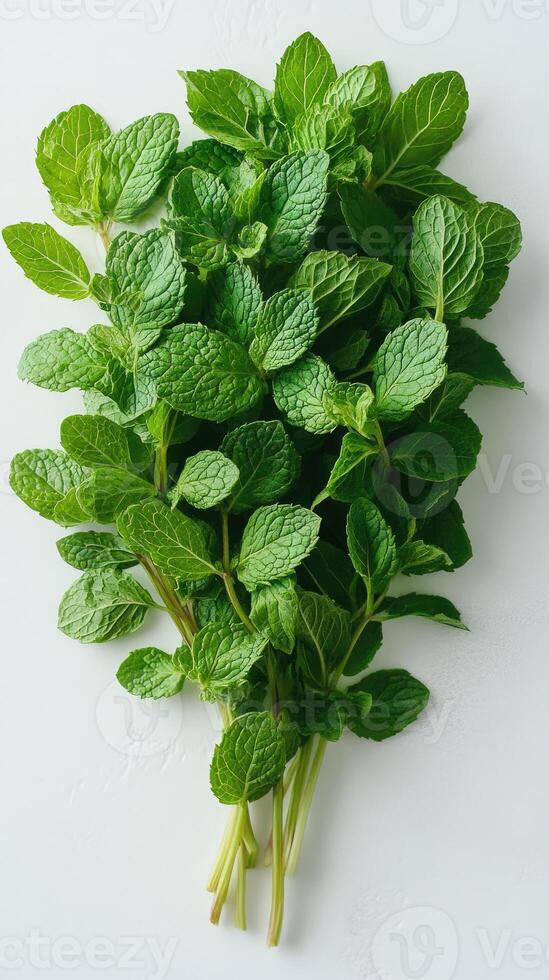 Fresh mint leaves forming a healthy green background photo