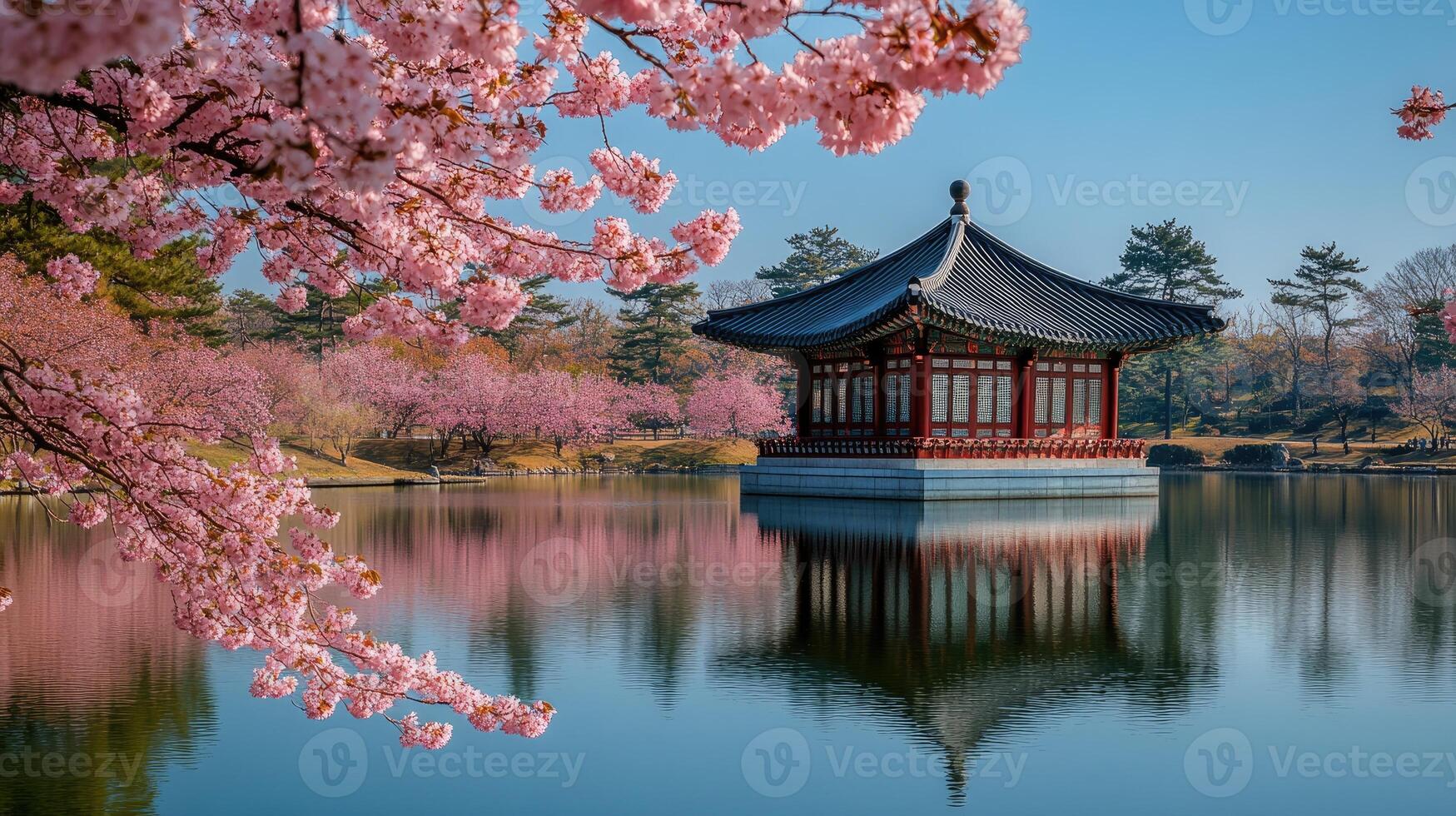 Japanese temple reflecting on the lake during cherry blossom season photo