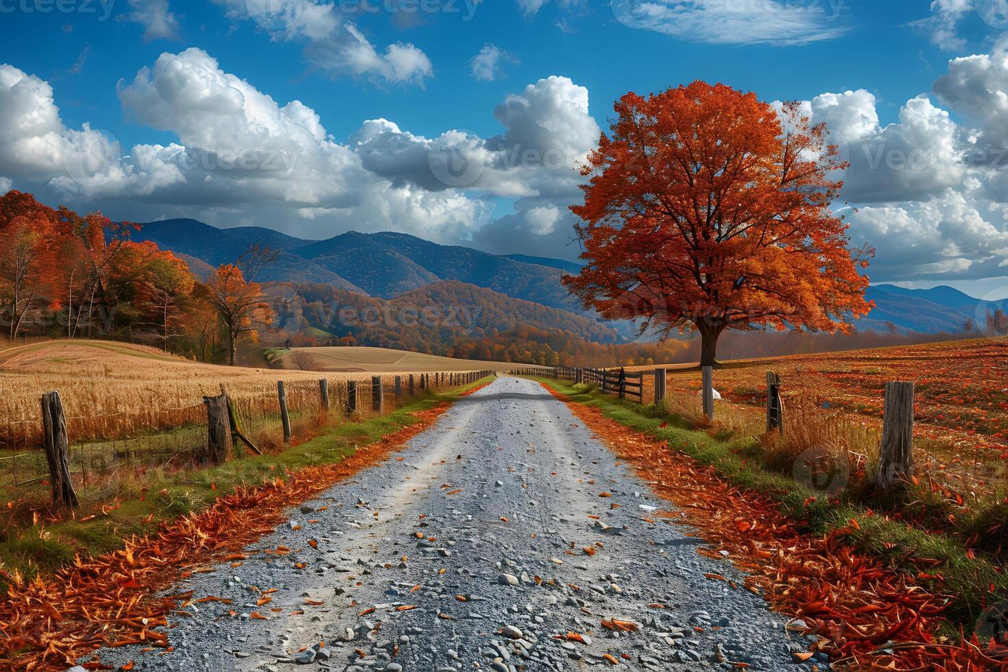 Autumn Country Road in Scenic Countryside with Vibrant Fall Foliage and Blue Sky photo