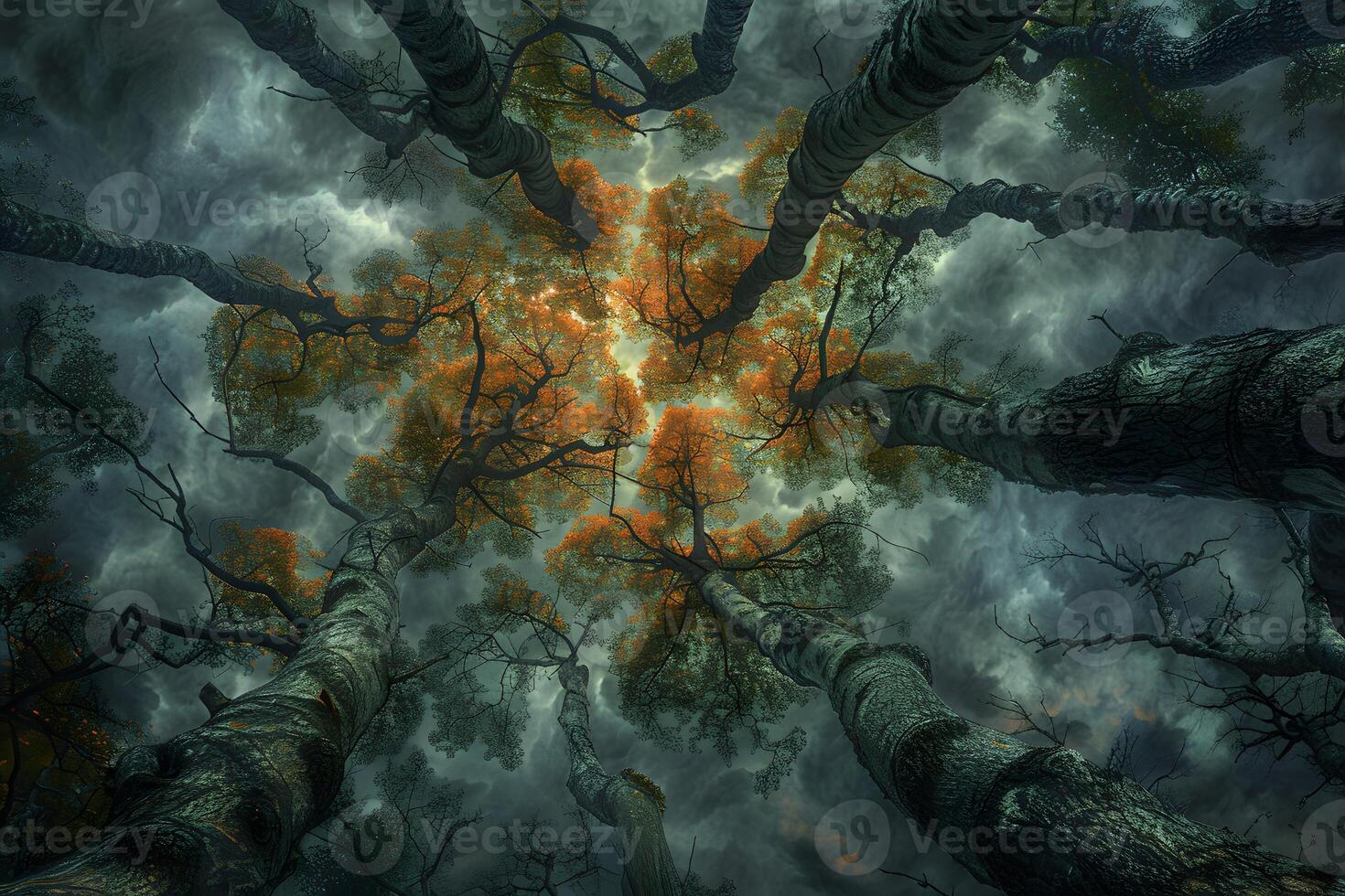 Dramatic Perspective of Tall Trees Reaching Towards Stormy Sky with Autumn Foliage, Perfect for Nature and Fantasy-Themed Designs photo