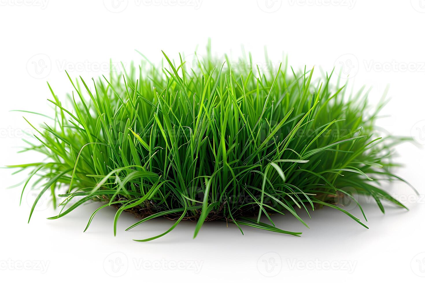 Lush Green Grass Turf Patch - Isolated on White Background for Landscaping and Garden Design photo