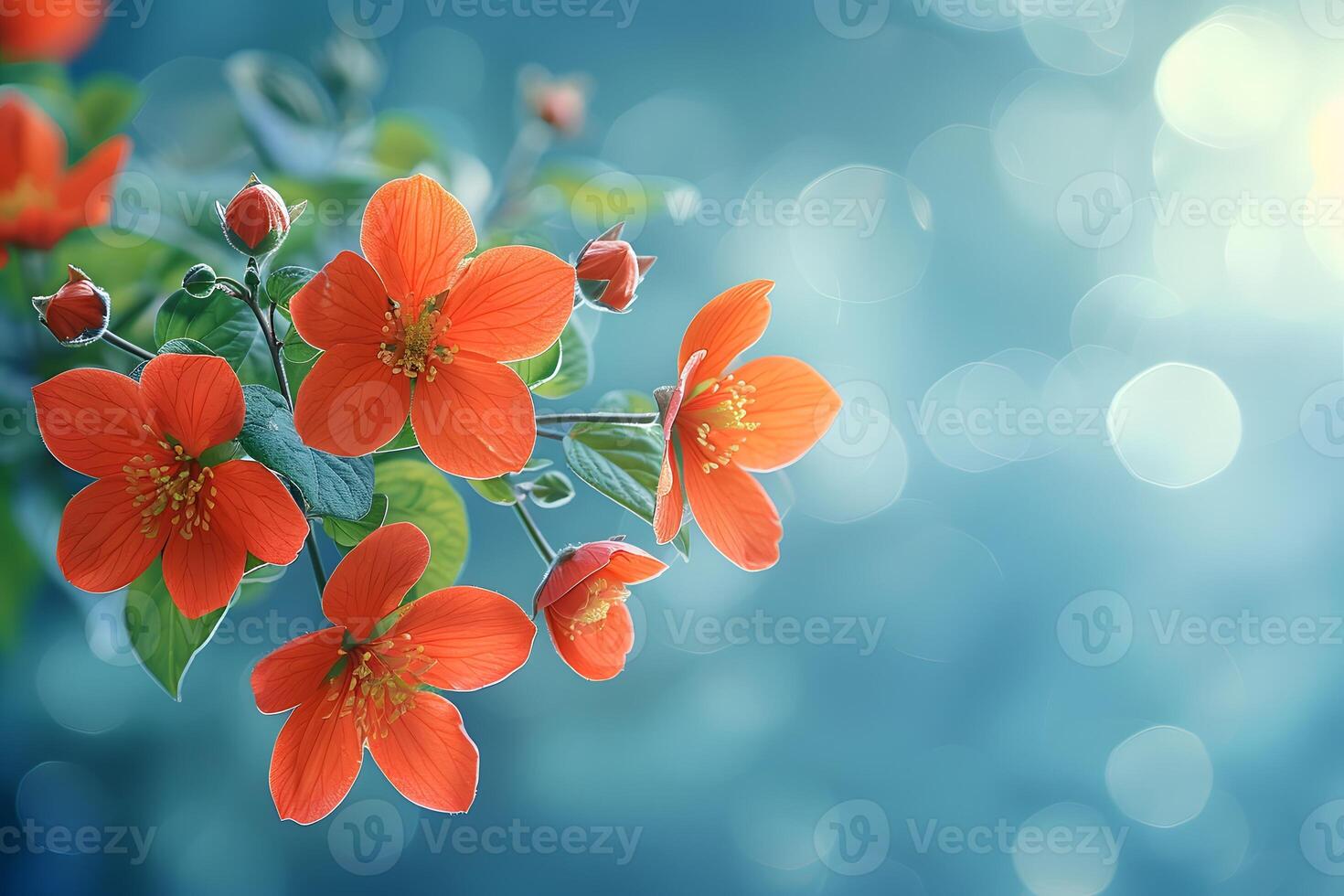 Vibrant Orange Flowers in Bloom with Bokeh Background for Nature Design and Floral Art photo