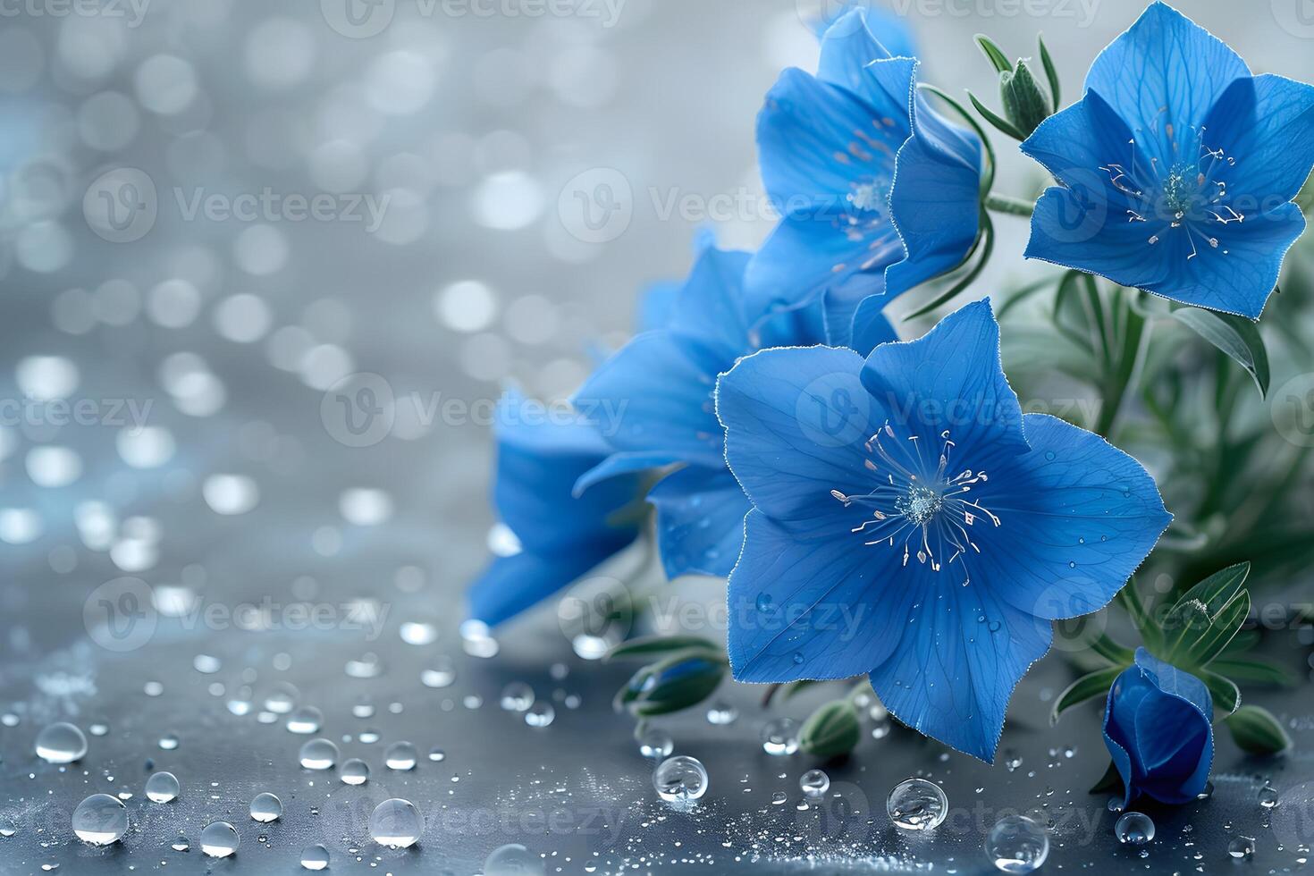 Vibrant Blue Flowers with Dewdrops - Nature Photography for Prints, Posters, and Cards photo