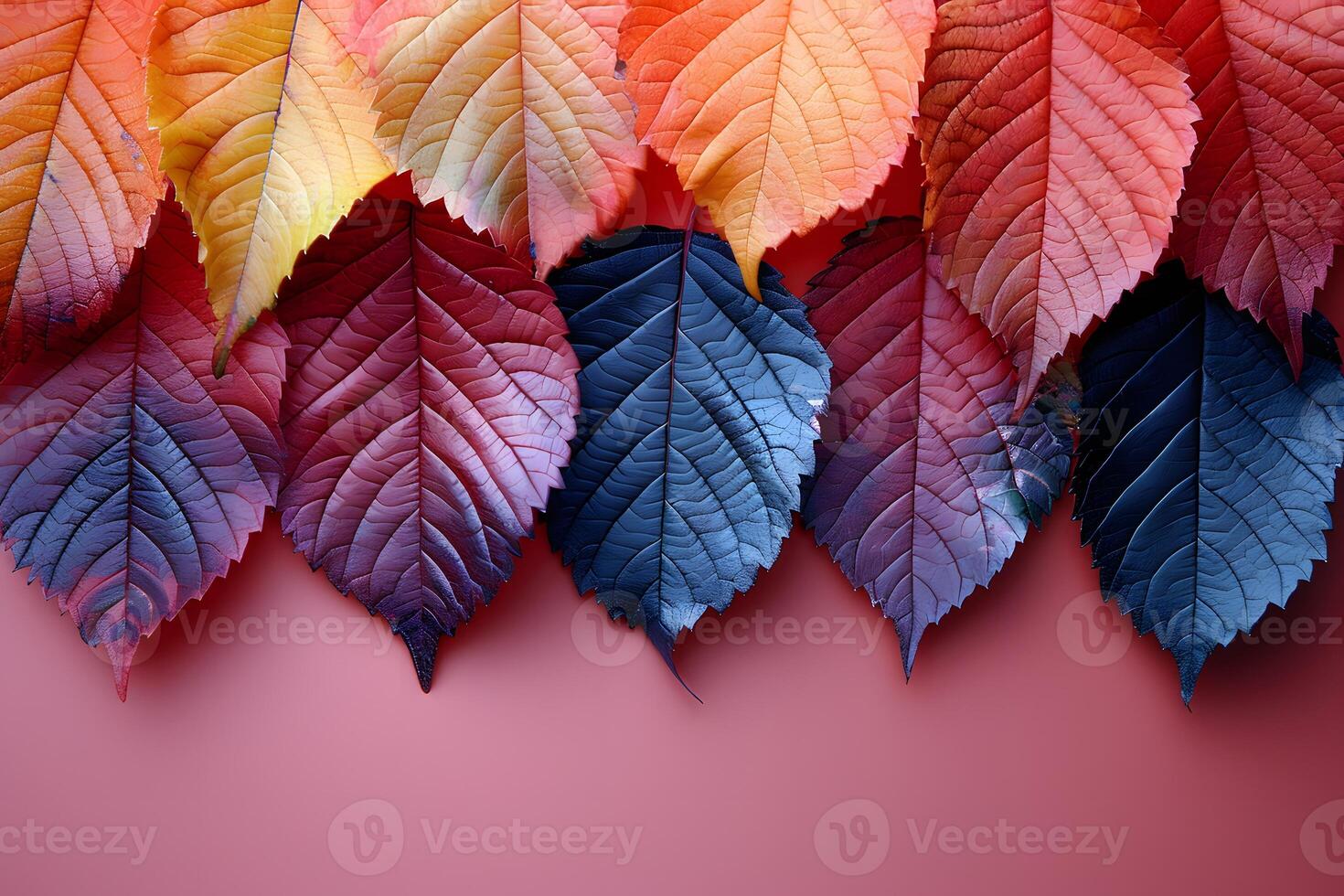 Colorful Autumn Leaves Arrangement in Gradient on Coral Background - Seasonal Design for Print, Card, Poster photo