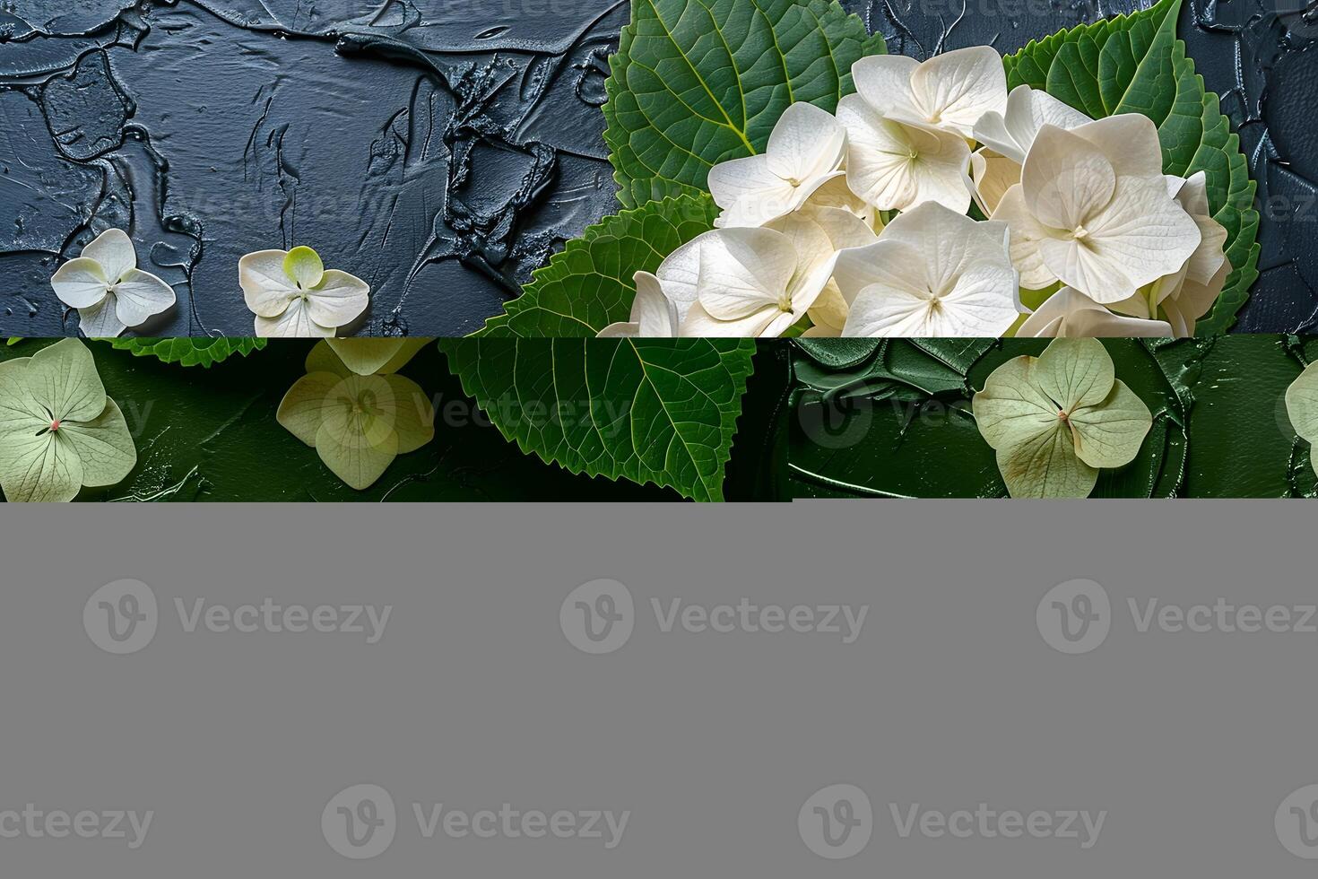 Elegant White Hydrangea Blossoms on Dark Textured Background - Floral Print Design photo