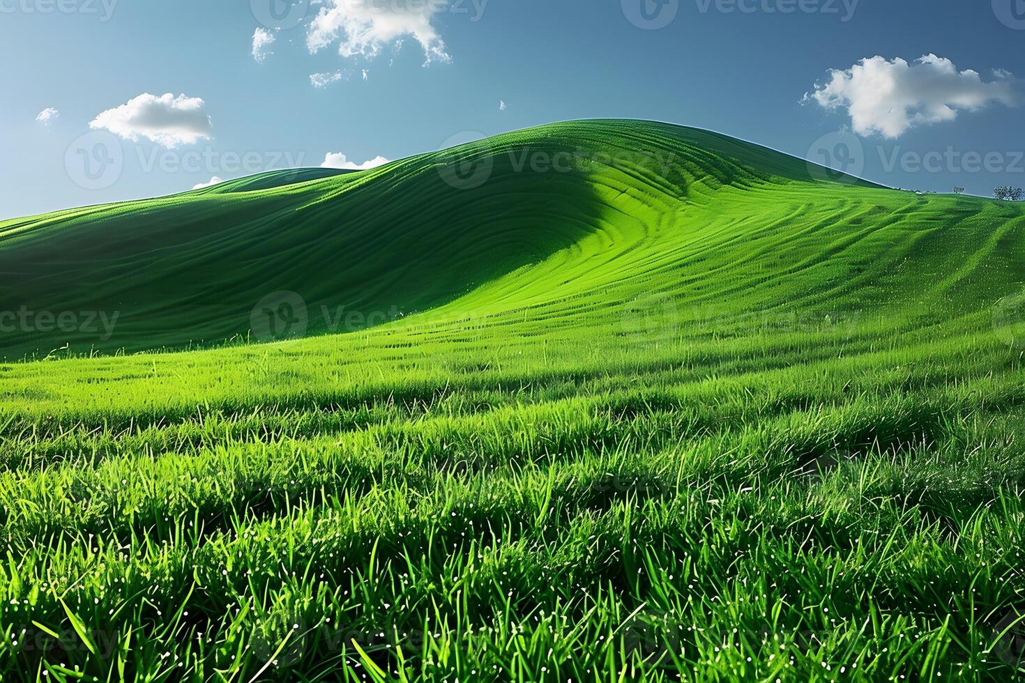 Serene Rolling Green Hills Under Blue Sky - Nature Landscape for Printing, Posters, Backgrounds photo