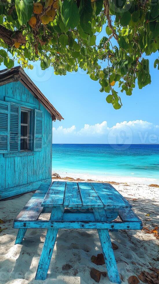 Turquoise picnic table under a tree on a tropical beach photo